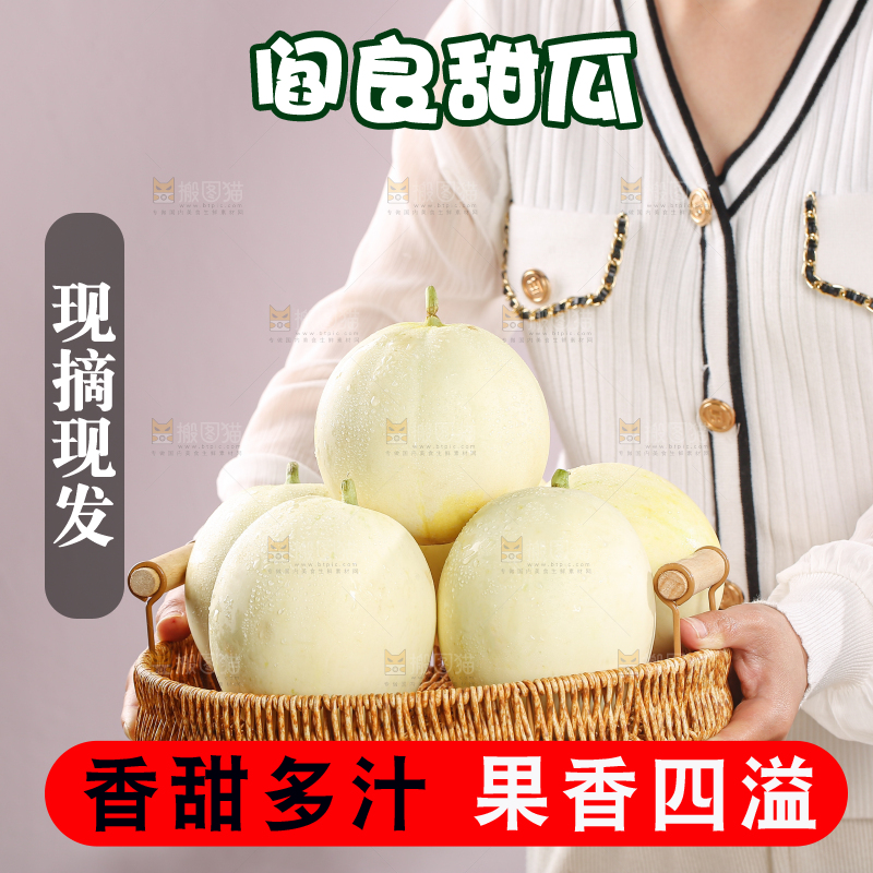 阎良甜瓜