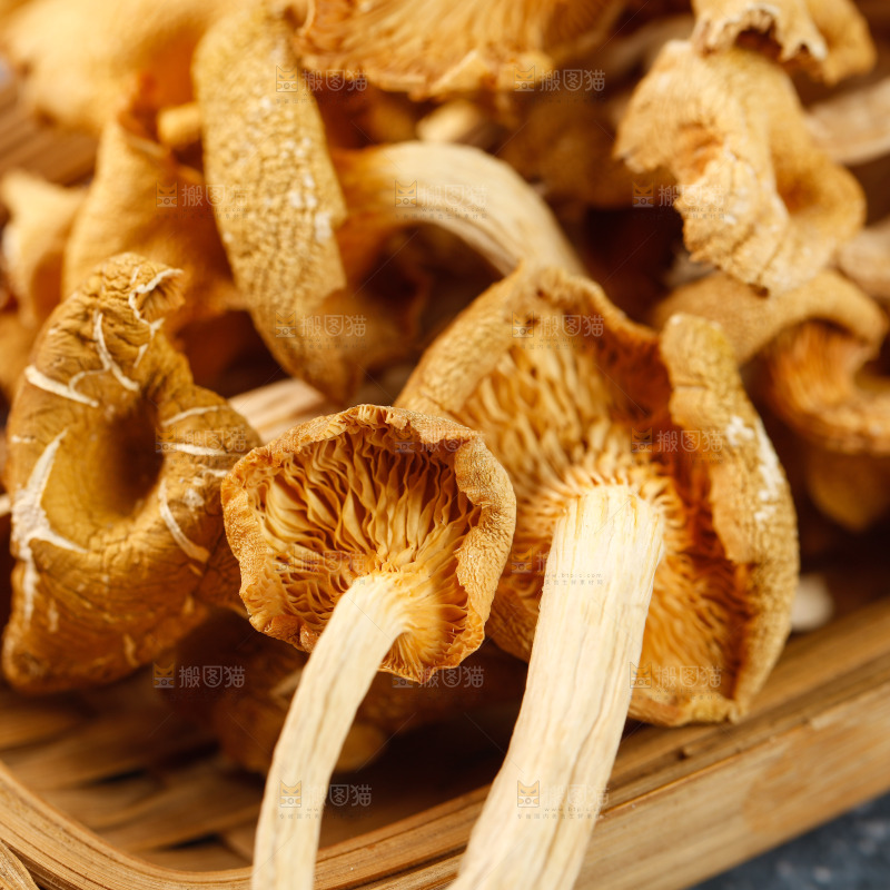 黄金菇