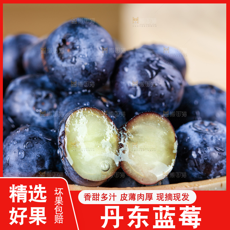 蓝莓