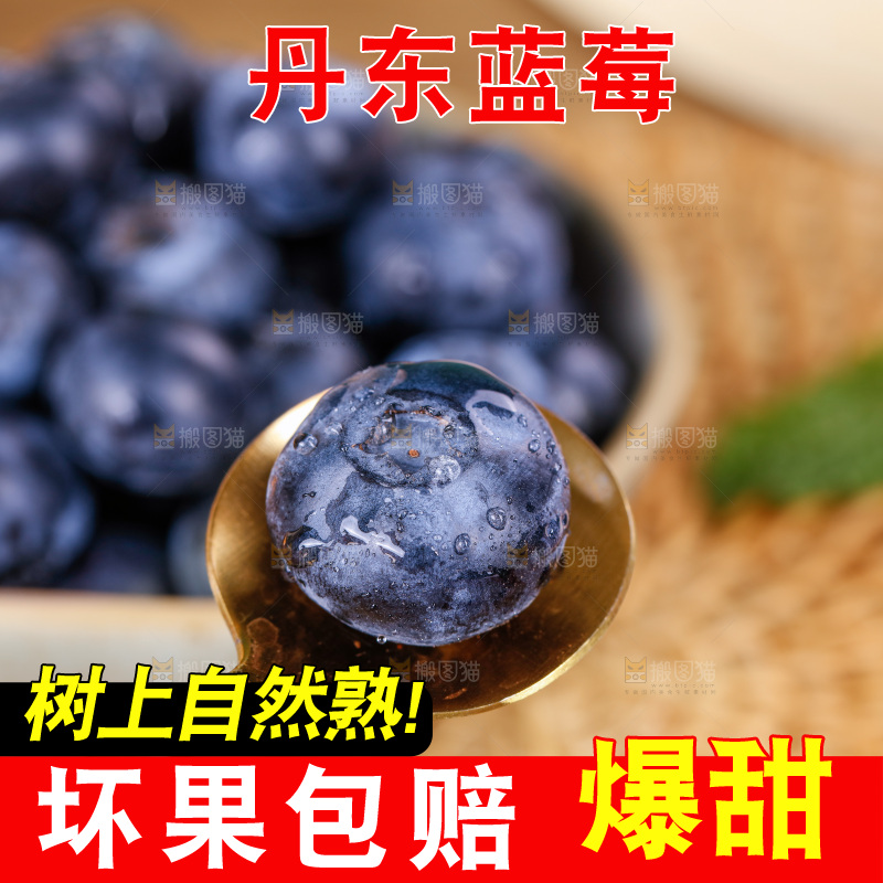 蓝莓