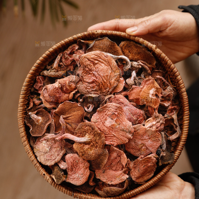 牛肝菌