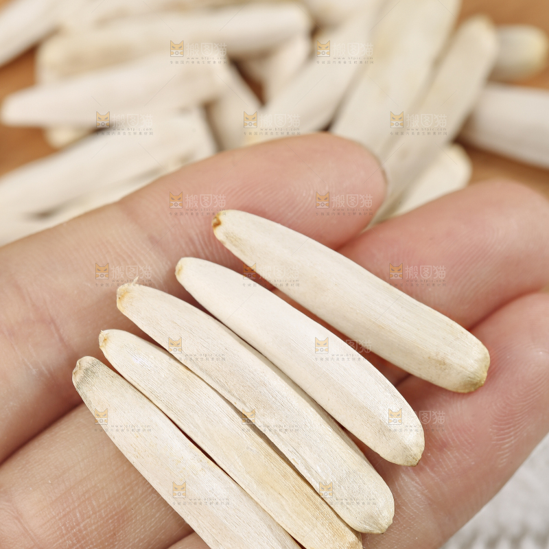 马牙瓜子