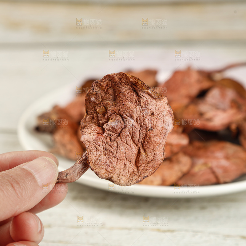 牛肝菌