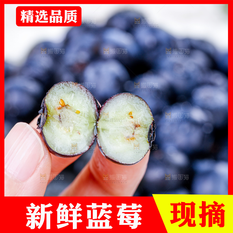 蓝莓