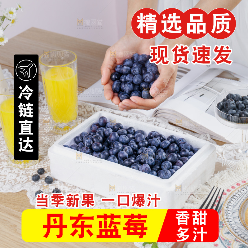 蓝莓