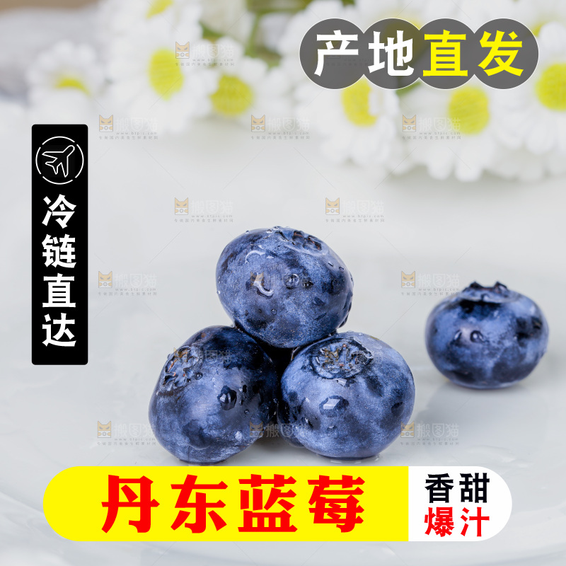蓝莓