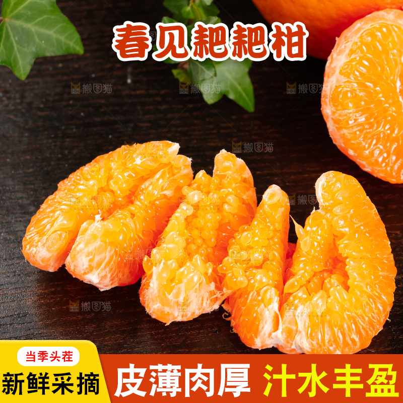 春见耙耙柑