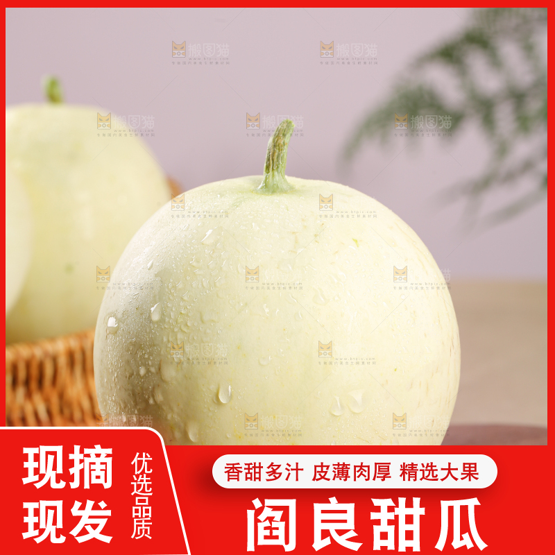 阎良甜瓜