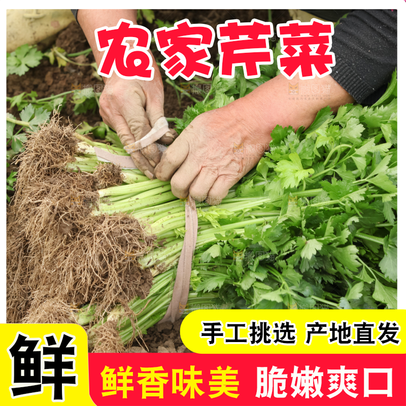 芹菜