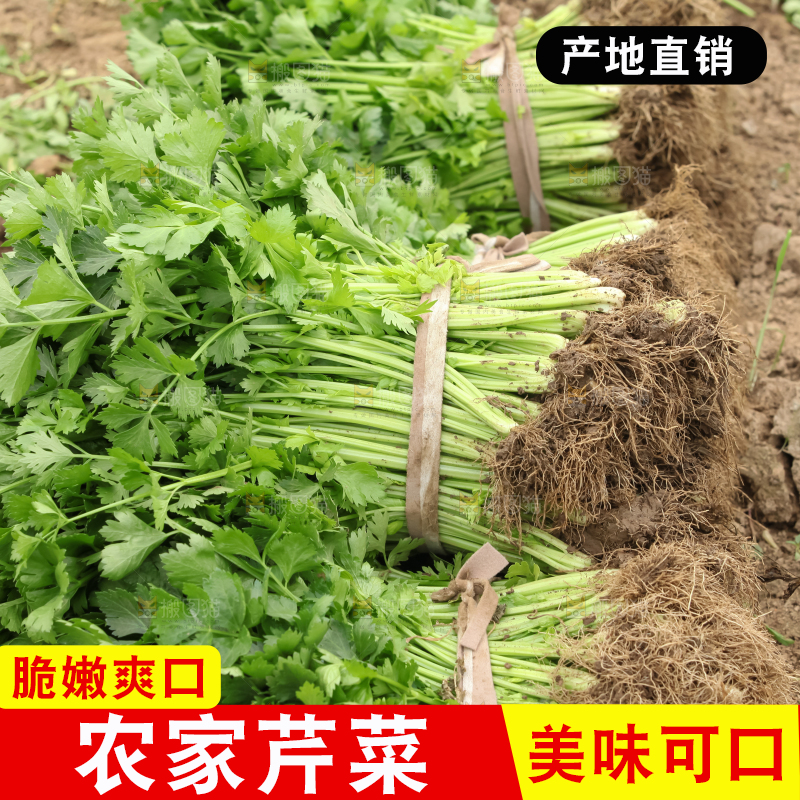 芹菜