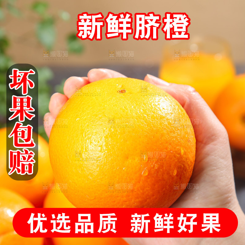 脐橙