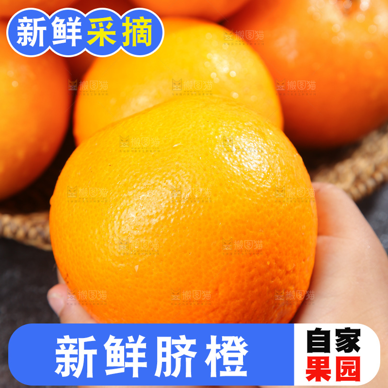 脐橙