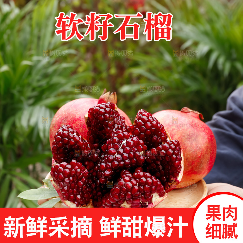 软籽石榴