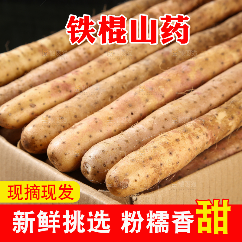 铁棍山药