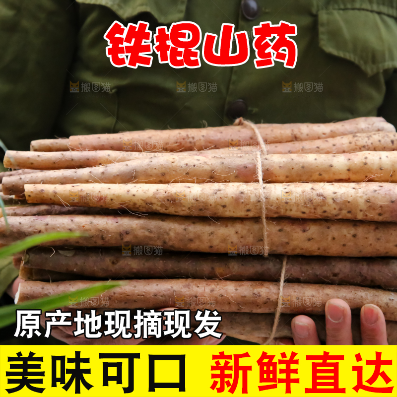 铁棍山药