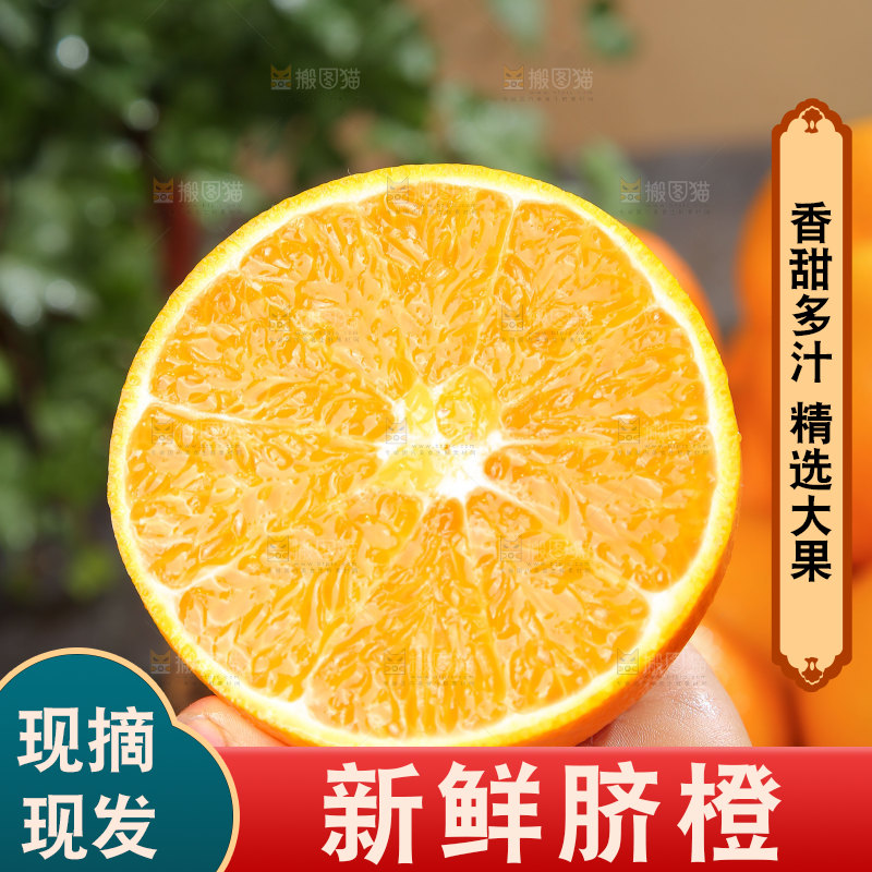 脐橙