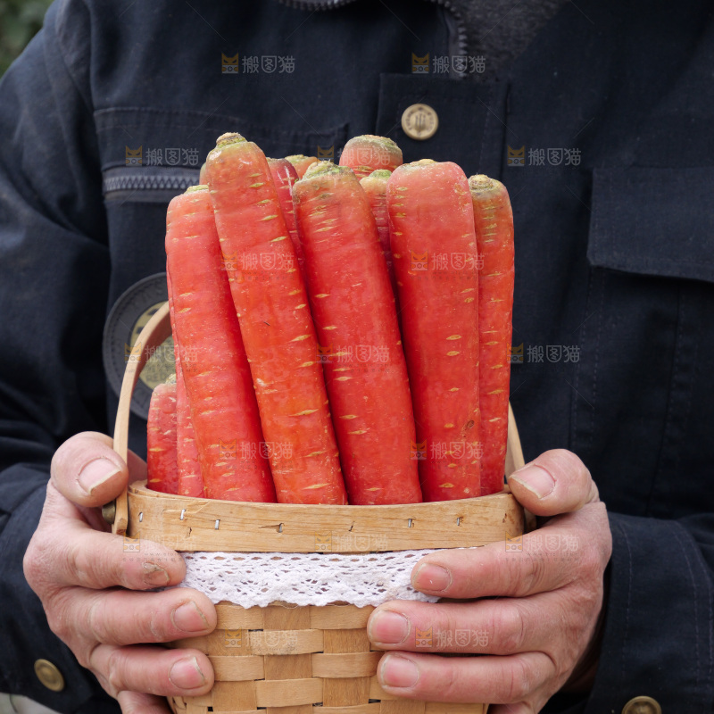 红胡萝卜