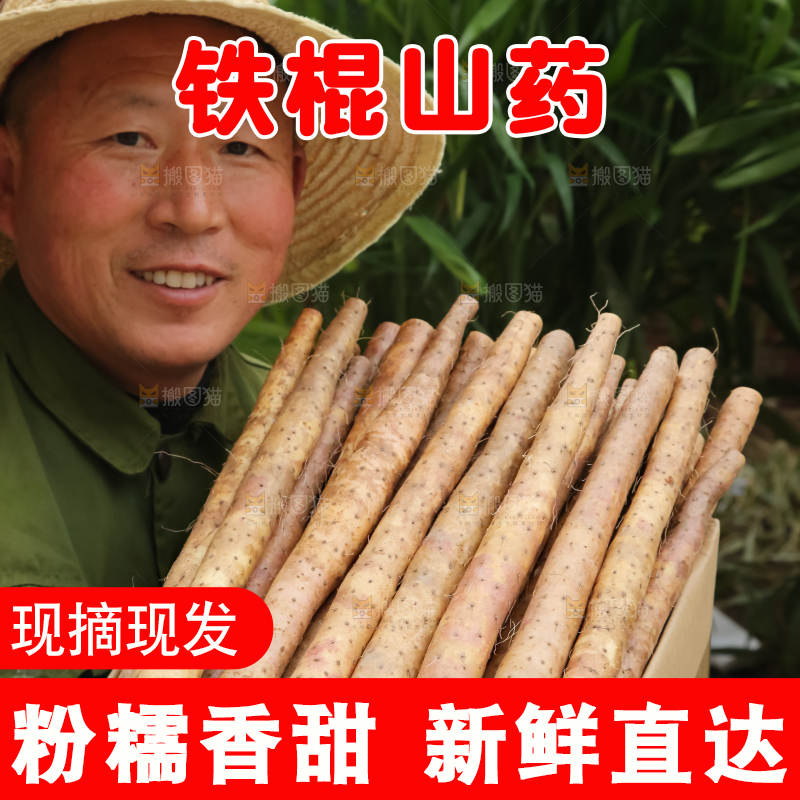 铁棍山药
