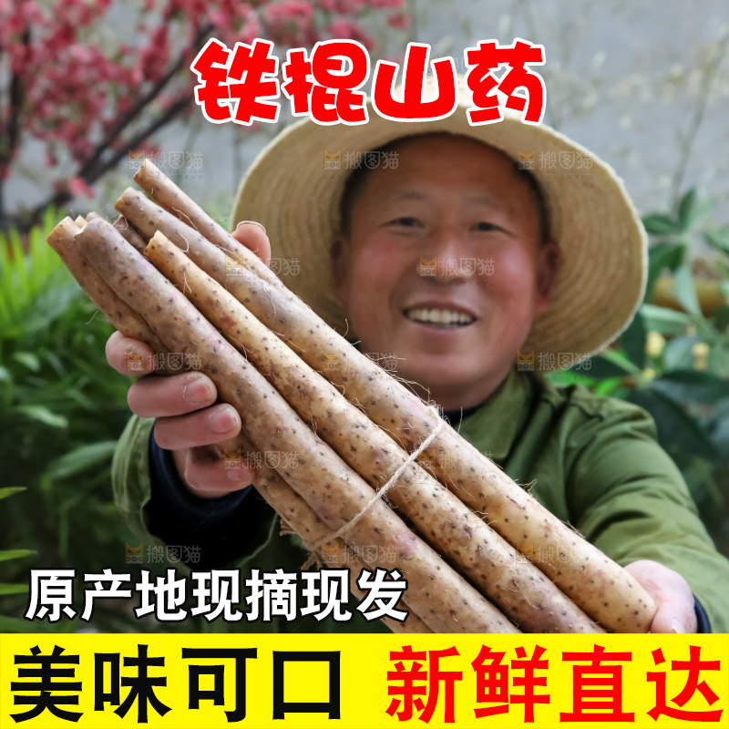 铁棍山药