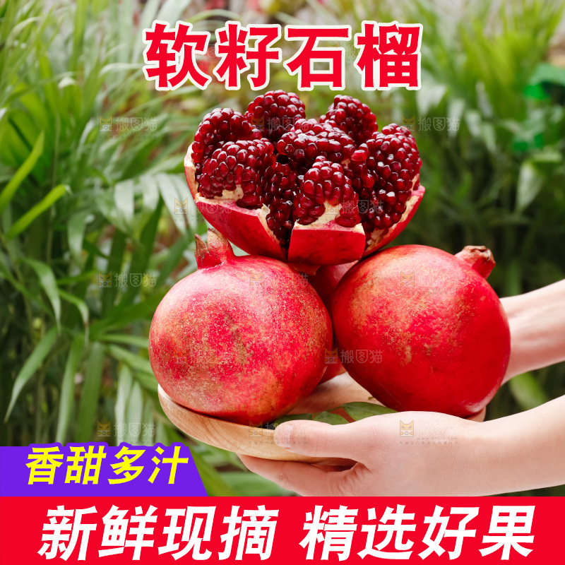 软籽石榴
