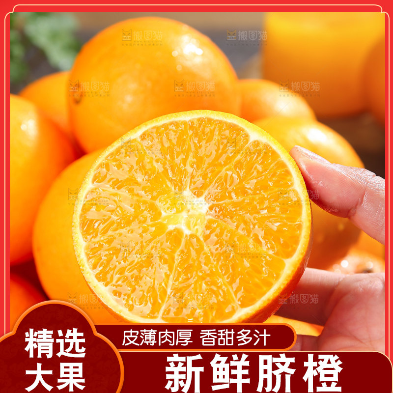 脐橙