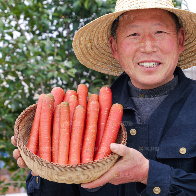 红胡萝卜