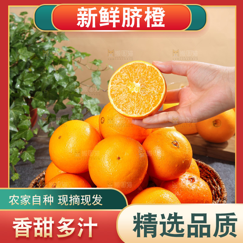 脐橙