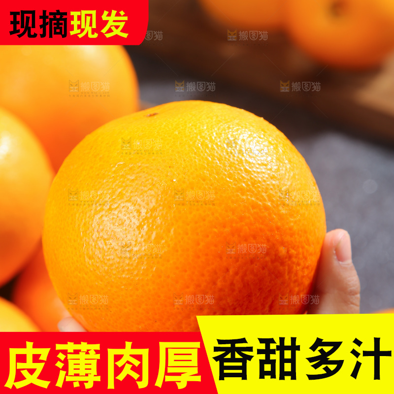 脐橙