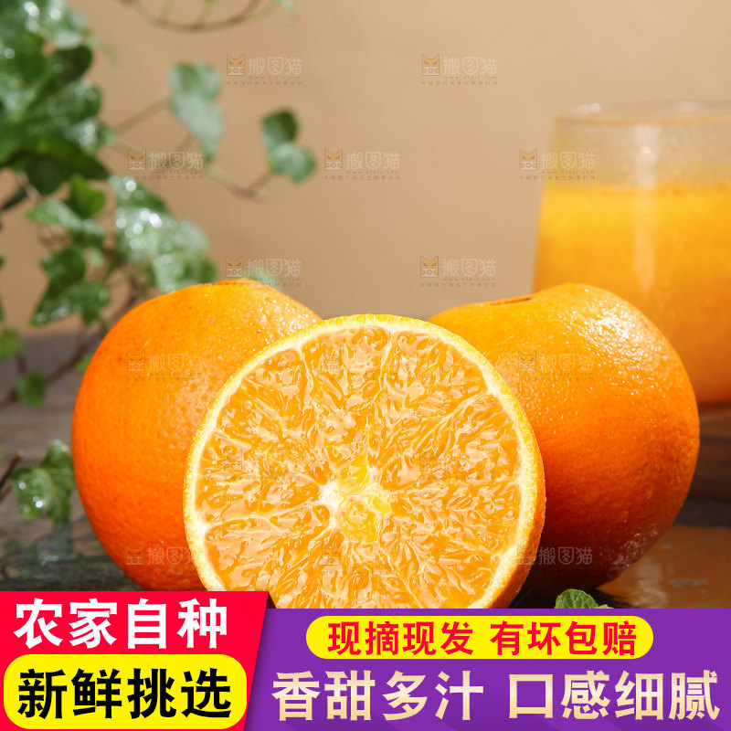 脐橙
