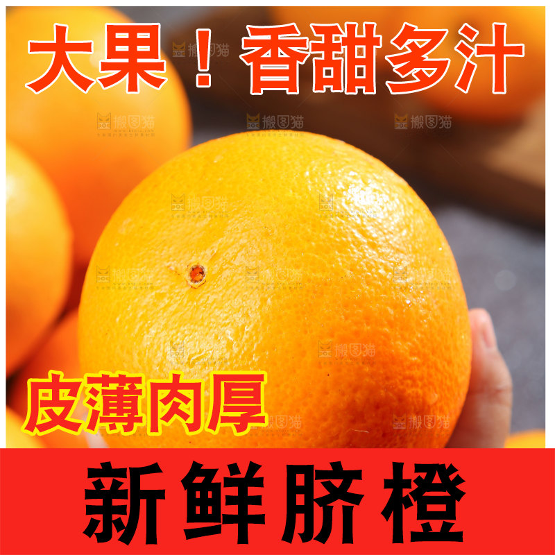脐橙