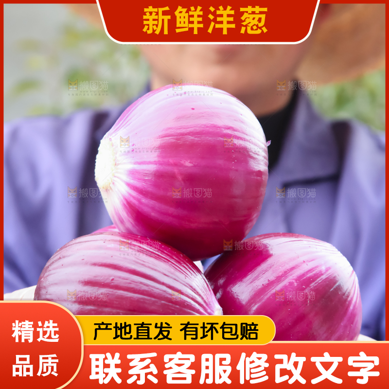洋葱
