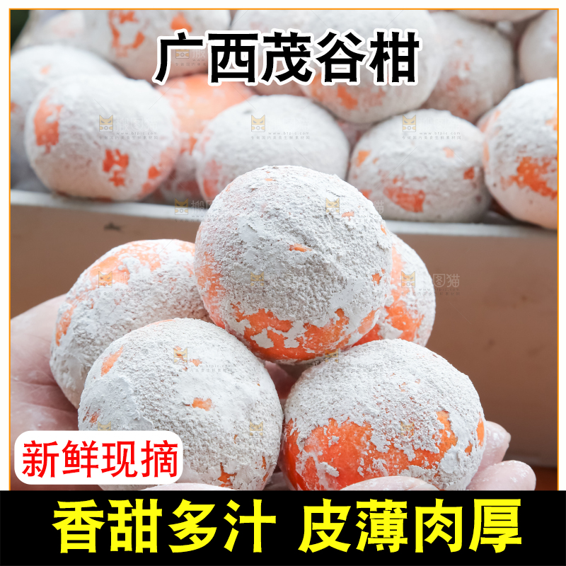 茂谷柑