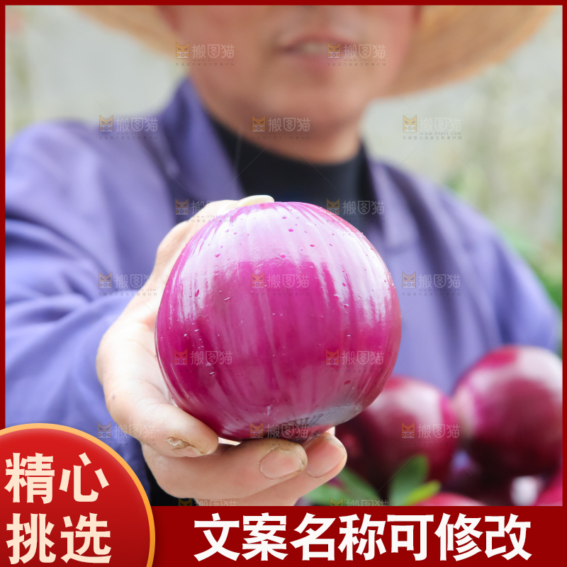 洋葱