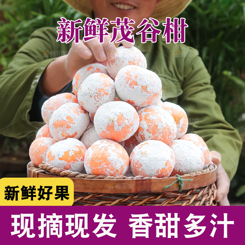 茂谷柑
