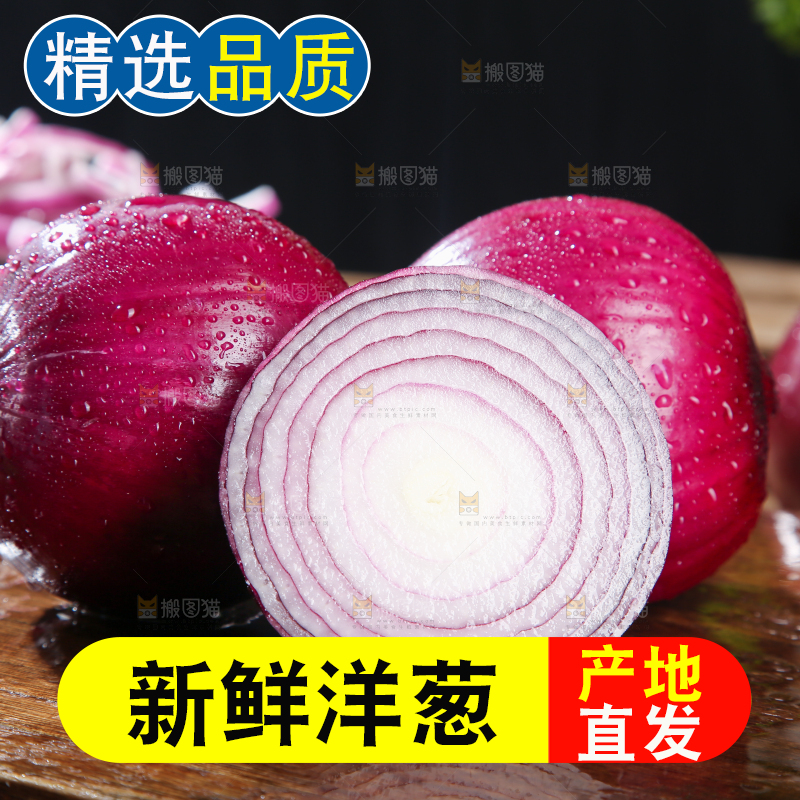 洋葱