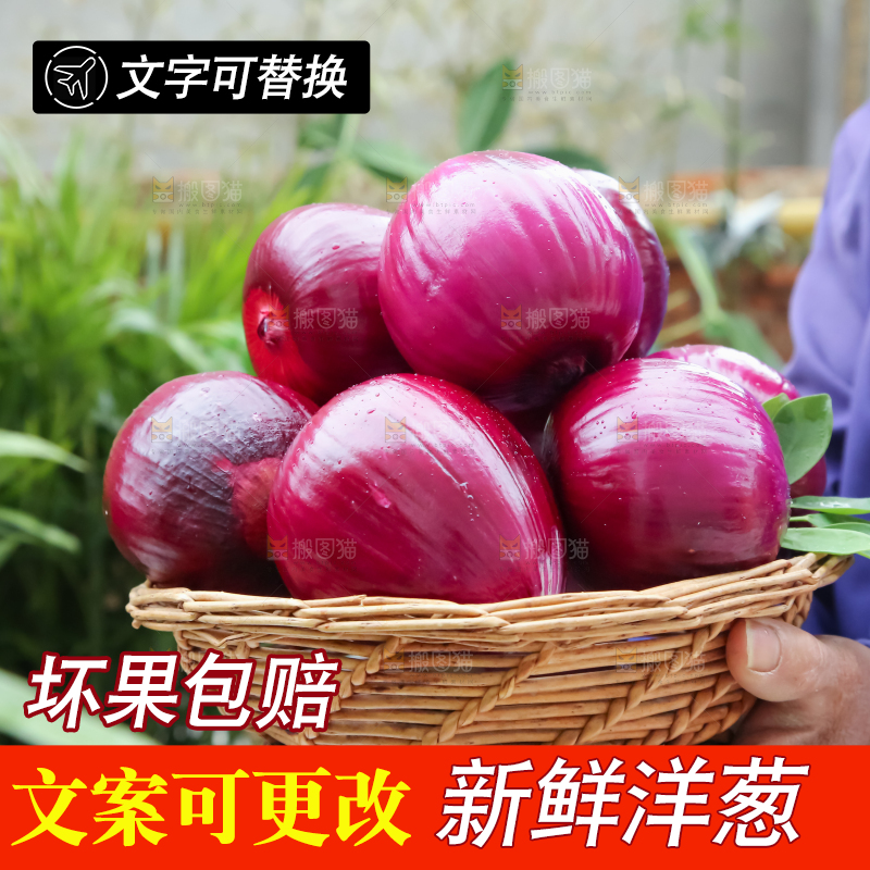 洋葱