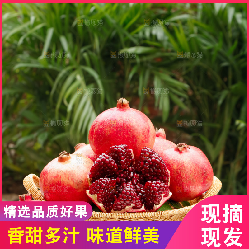 软籽石榴