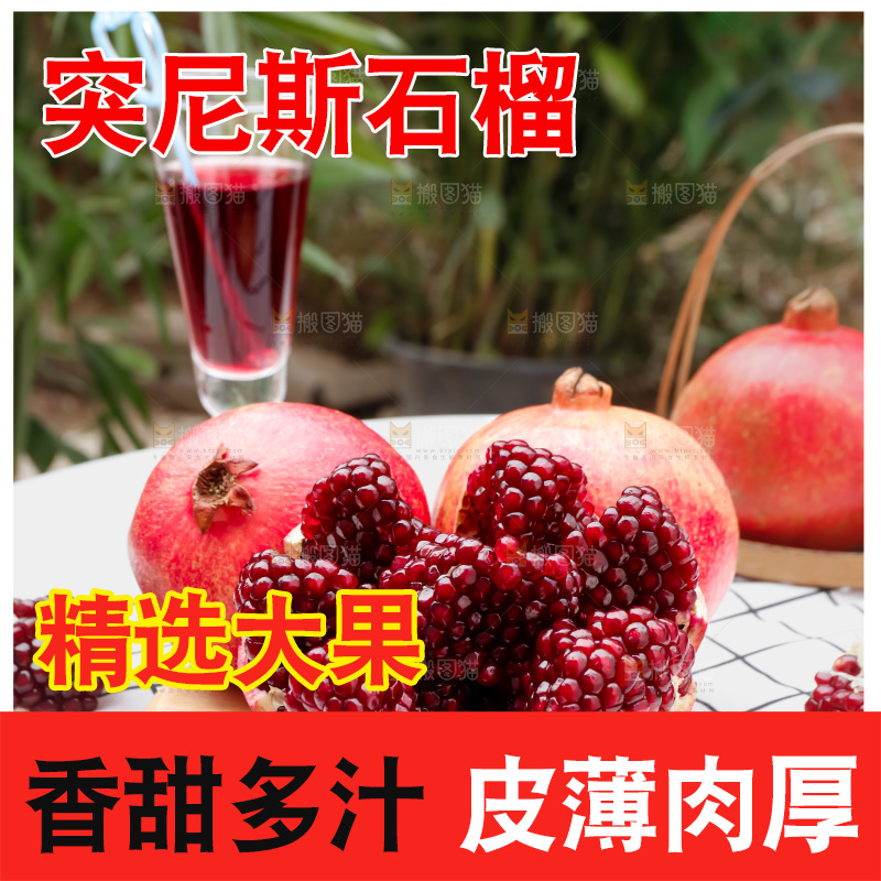 软籽石榴