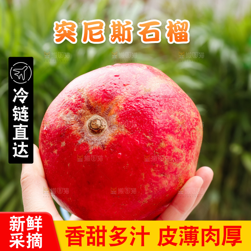 软籽石榴