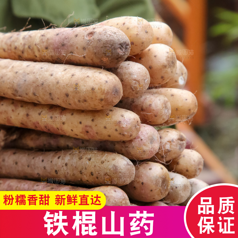 铁棍山药