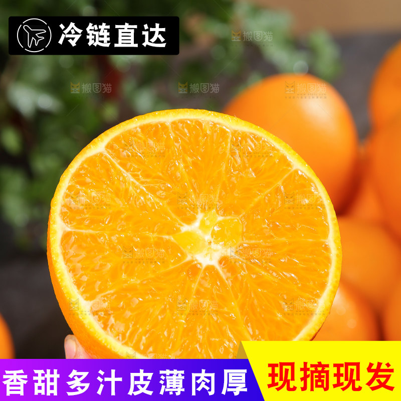 脐橙