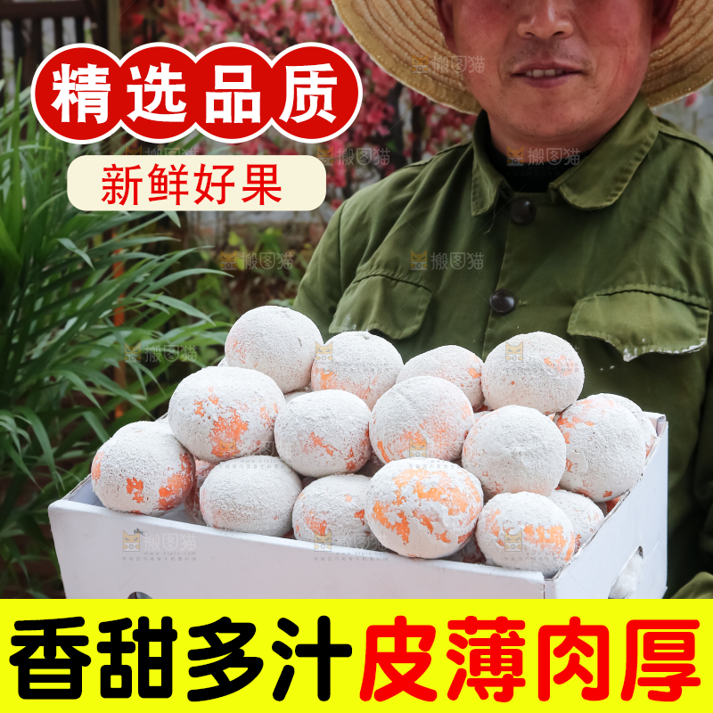 茂谷柑
