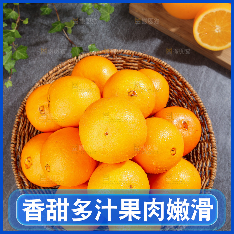 脐橙