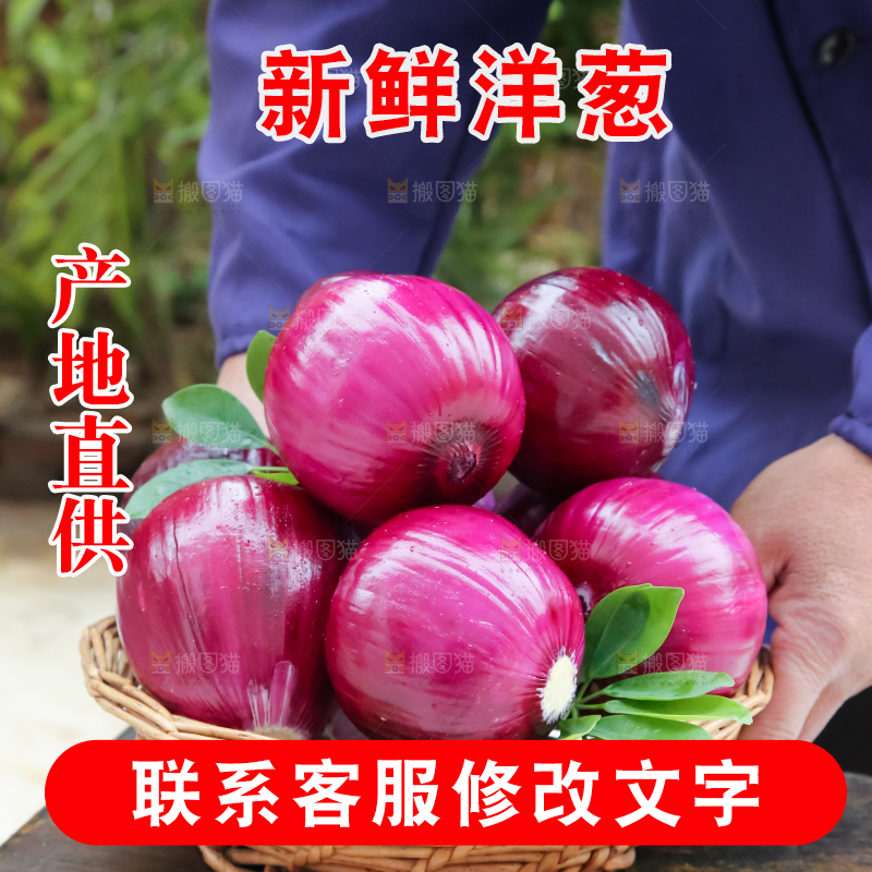 洋葱