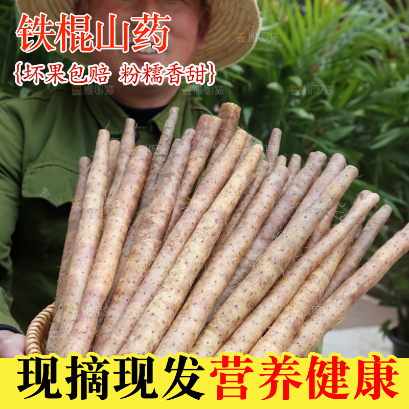 铁棍山药