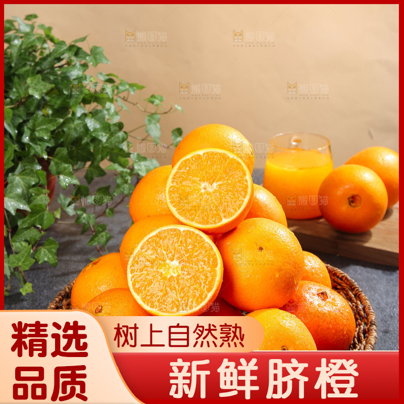 脐橙