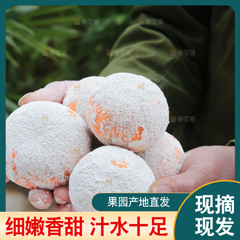 茂谷柑