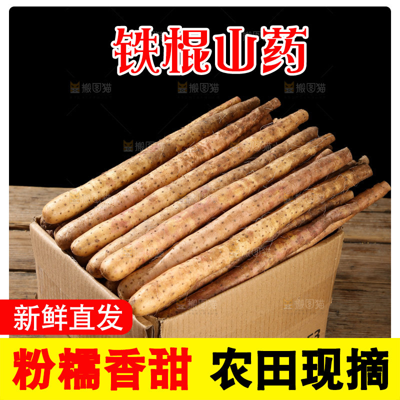 铁棍山药
