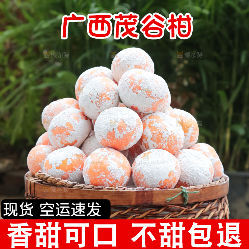 茂谷柑