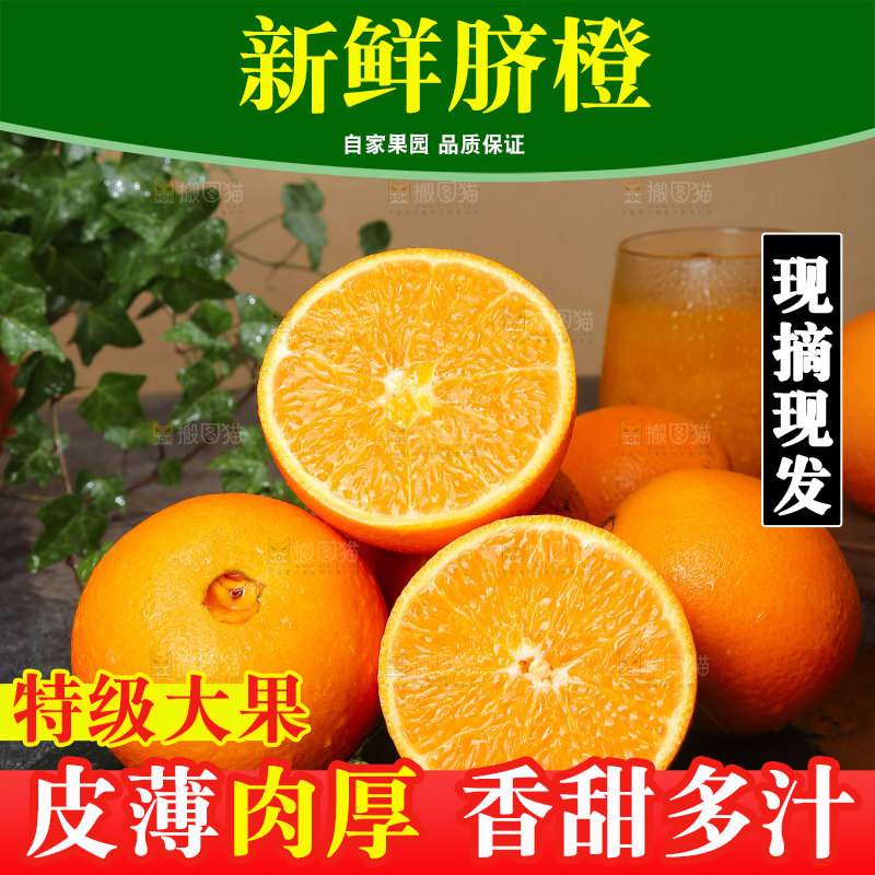 脐橙